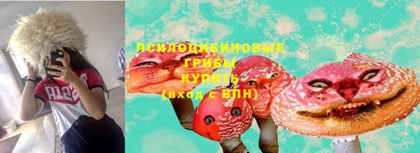 марки nbome Новозыбков