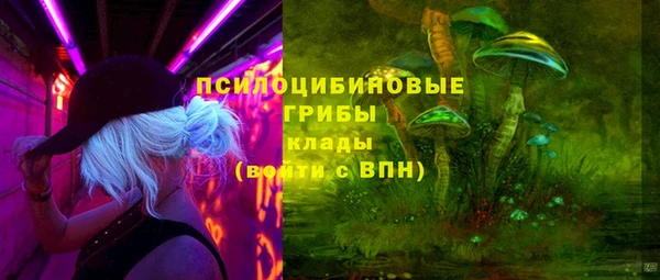 стафф Архангельск